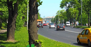 Посадка деревьев и кустарников в Химках — стоимость от 1244 руб.